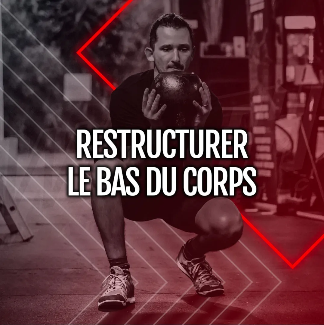 MEMBRES INFÉRIEURS - 2PM