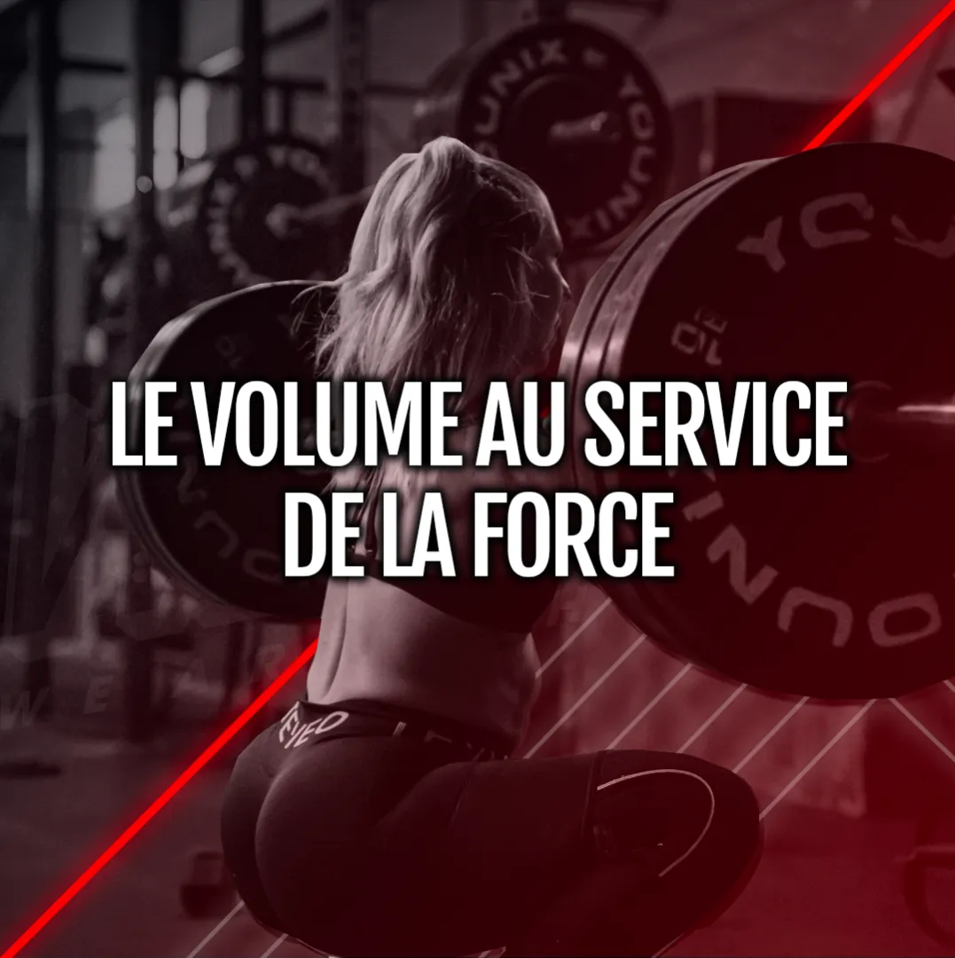 7/13 MODIFIÉ