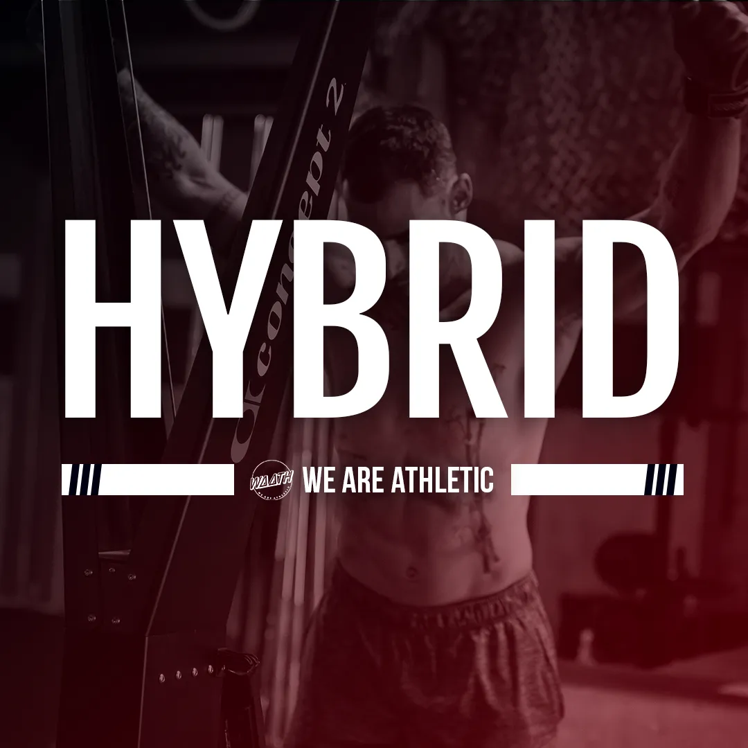 Hybrid