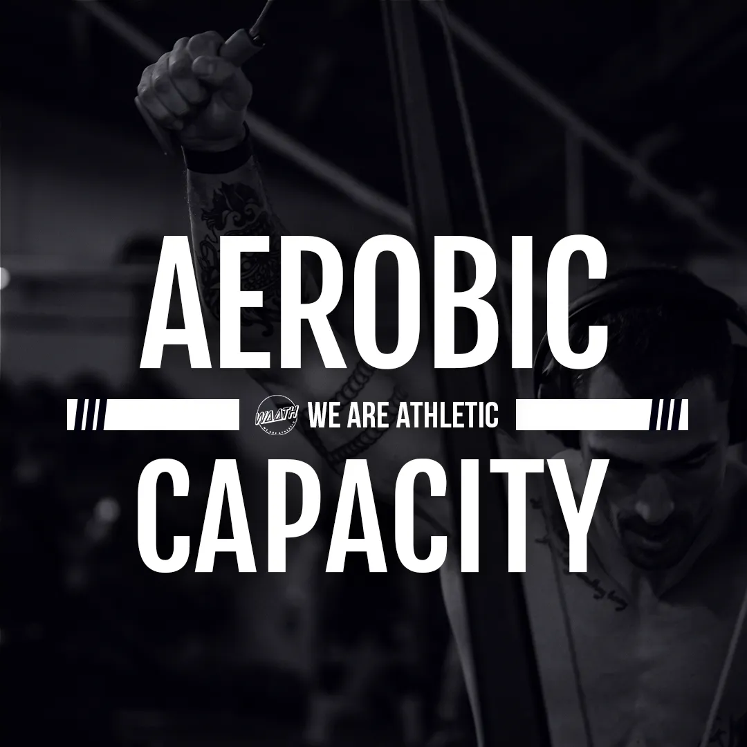 AEROBIC CAPACITY